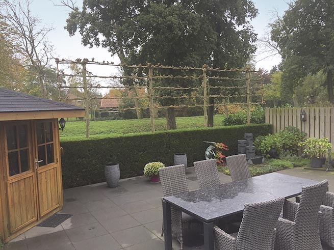 Frank van der donk - voor-en-achtertuin 