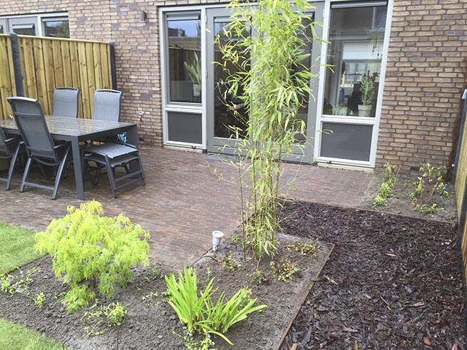 Frank van der donk - achtertuin 